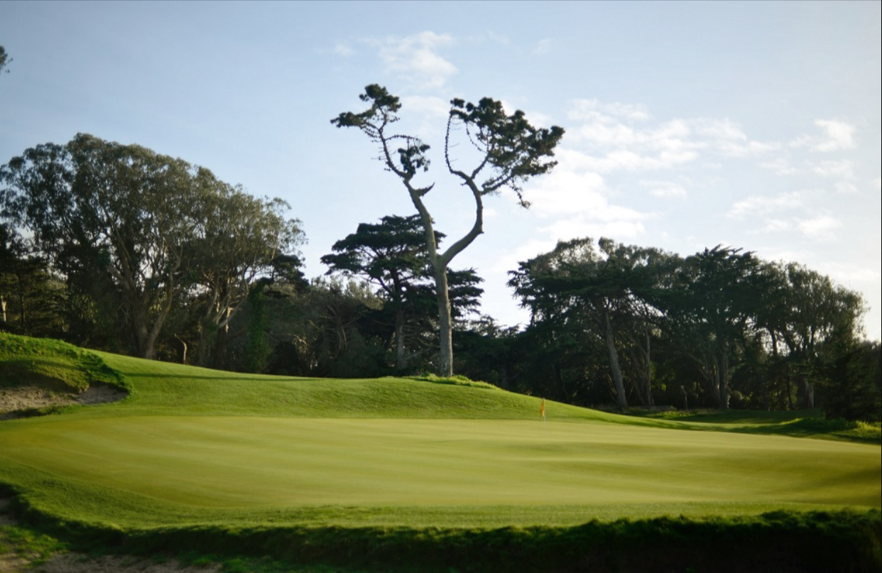 Gallery Golden Gate Park Golf Course Gallery Golden Gate Park Golf Course